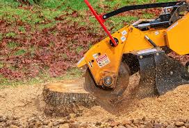 Best Lawn Irrigation Installation and Maintenance  in Montclair, VA