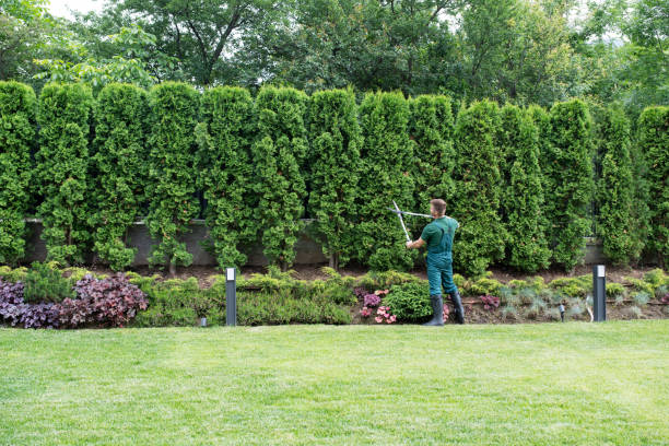 Best Soil Testing and Treatment  in Montclair, VA