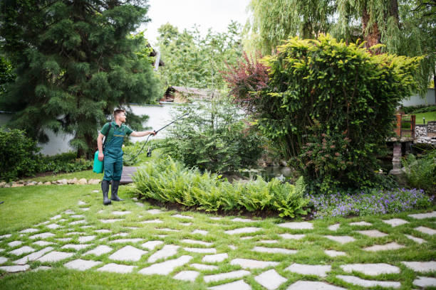 Best Artificial Turf Installation  in Montclair, VA
